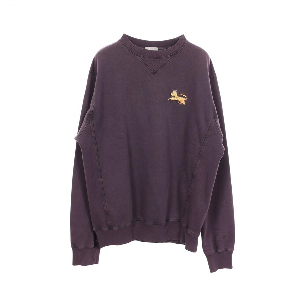 Dior × Peter Doig Distressed Finish #341262D68B